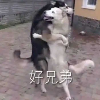搞笑表情包姐妹同心,其利断金
