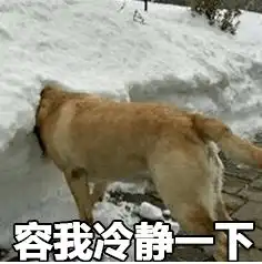 信小呆一元转让中国锦鲤,你将实现财务自由快点开看
