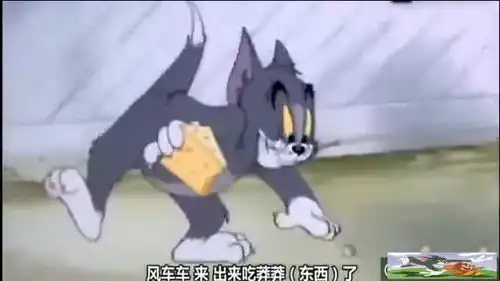 爆笑没想到汤姆那句风车车,让我笑足半天川话版的猫和老鼠.
