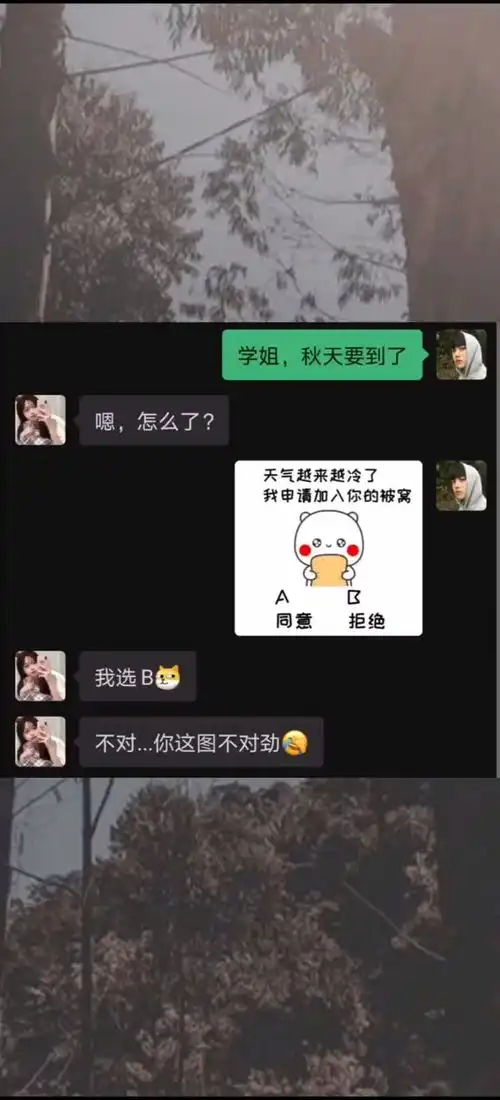 天气冷了,我申请加入你的被窝每日迷惑行为沙雕操作表情包小可爱已上线

