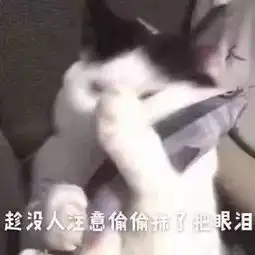 看了你的朋友圈,我就不想娶你了真搞不懂你们年轻人
