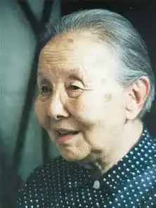 冰心先生的泪与梦中的梦是指什么
