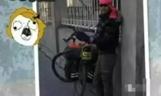 一位美女骑行去西藏,去时范冰冰,回来......
