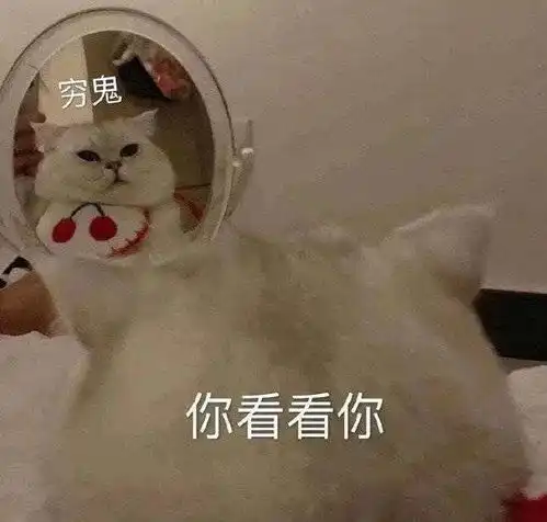 第67期喵表情此猫拉屎中,勿看勿进
