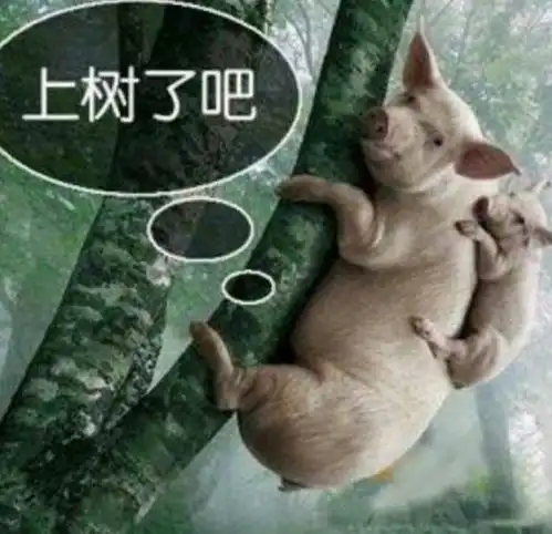 唐太宗大唐何时亡玄学家袁天罡猪上树时,可惜李世民没听懂
