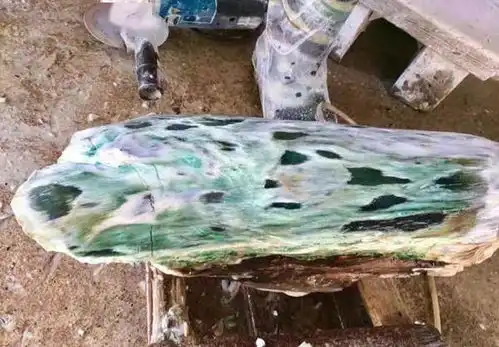 男子发现2.5亿年前烂木头,洗后像极了翡翠,被告知比翡翠贵千倍
