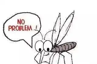 深色衣服比浅色衣服更招蚊子穿哪种颜色的衣服最招蚊子研究找到了答案
