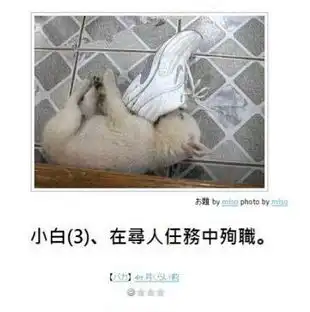 日式冷笑话动物类的吐槽图
