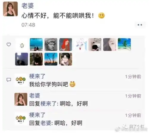 2020最搞笑图片合集哈哈哈哈笑出猪叫

