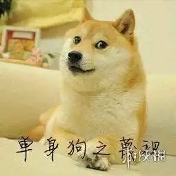 七夕单身狗文案怎么发七夕单身狗说说大全
