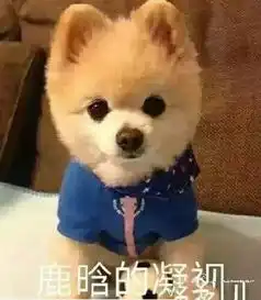马思纯的微笑明星撞脸动物表情图大全
