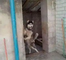 搞笑图片火车坐下铺还是有点福利的哈