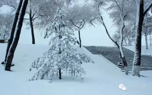 冬天怕冷吃什么好
