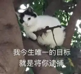 搞笑配字qq表情,搞笑配字图片合集,带字搞笑表情图片大全
