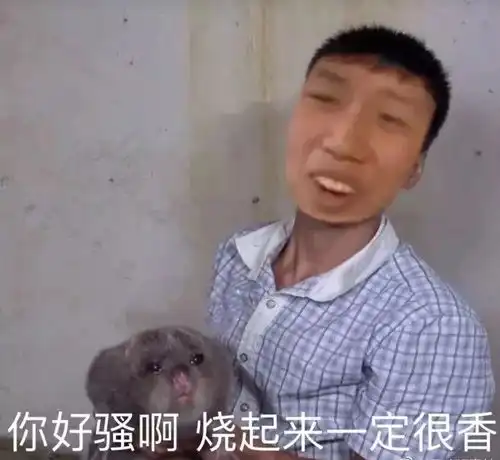 据说整个广东都在等像一个少女爆笑囧图
