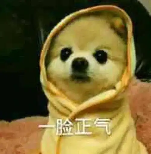 酒后等不到代驾侥幸上路,却等来了交警蜀黍的严厉处罚...
