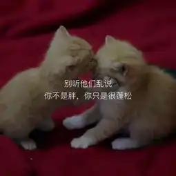 不想打字,只想用表情包来总结你的暑假和新学期
