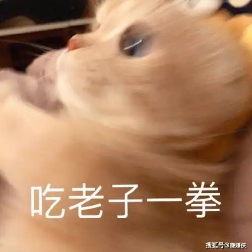搞笑表情包图片沙雕吃我一拳
