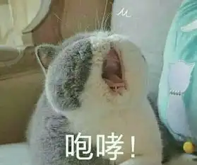 刚才踩死了一只这样的蟑螂