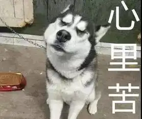 搜狐公众平台萨摩扑伤了小女孩,结果二哈被暴打二哈表示心里苦...

