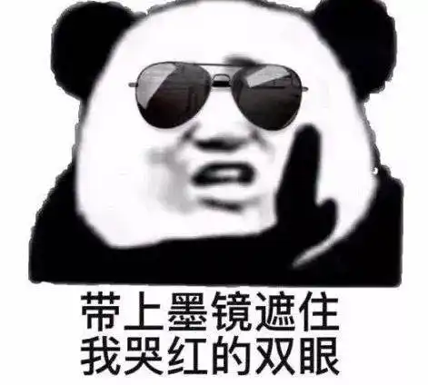 熊猫头表情包i能带上年幼的我吗
