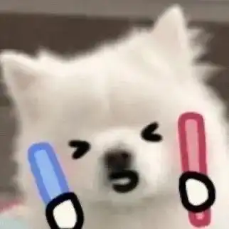 一组可爱的萨摩耶表情包
