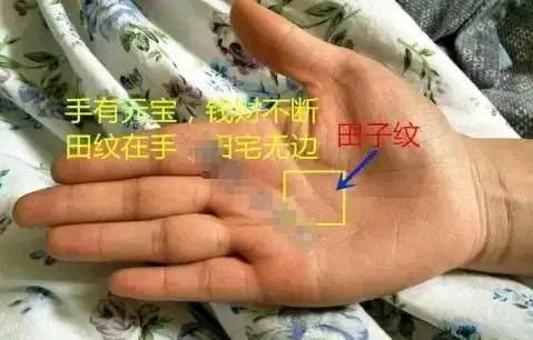 手相之道命在自己手中,能否把握,在于自己

