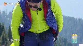 野生厨房2汪涵造梗老土,林依轮强行搞笑,字幕组都替他尴尬