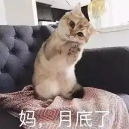 朋友圈配图刚过完双十一的我,穷人,打钱
