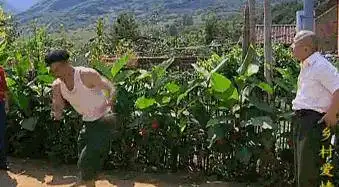 赵四出轨粉丝,女方自带壮阳药包养他3天,画面不忍直视

