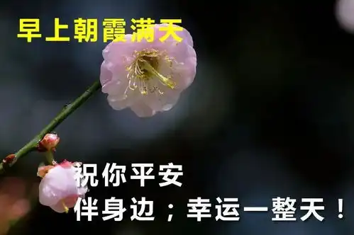 10月20日秋季非常漂亮的早上好动态图片带字,早安问候暖心说说句子