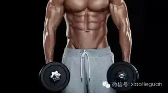 每天都做仰卧起坐,为啥练不出腹肌
