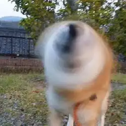 如何给朋友圈装上空调夏日必备清凉表情包
