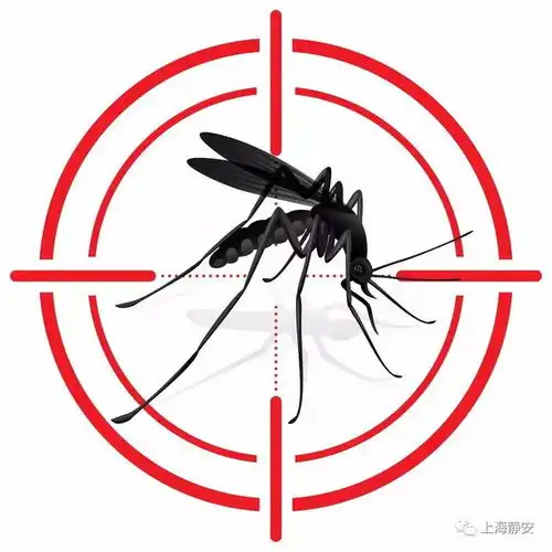 这些土味止痒法真能让蚊子包不痒吗答案出乎意料
