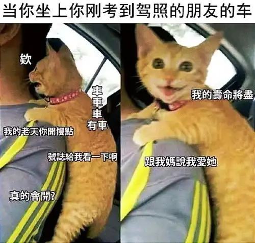 搞笑趣图当你坐上你刚拿到驾照的朋友的车
