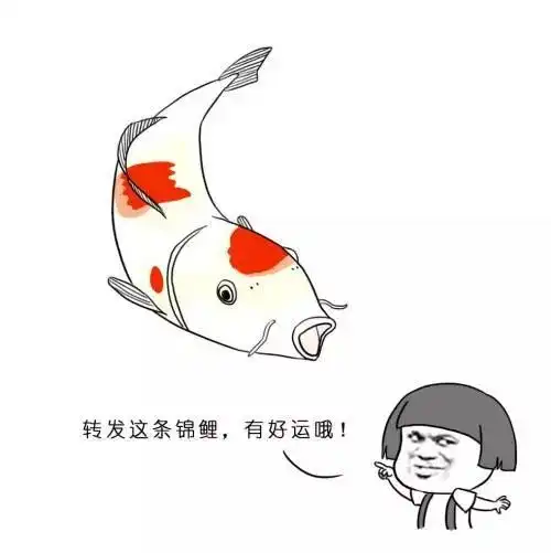 做不成锦鲤我们还有生活
