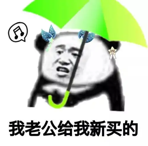 斗图表情包 搞笑图片熊猫
