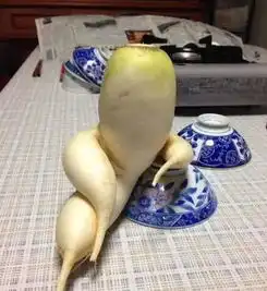 去年国外最爆笑的图片,一不小心笑出了腹肌
