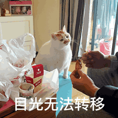 能放我一条生路吗表情包图片难搞头痛表情包下载乐游网游戏下载
