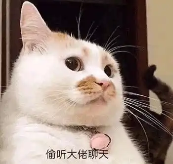 可爱搞笑表情包图片偷听大佬聊天,你管我几点睡
