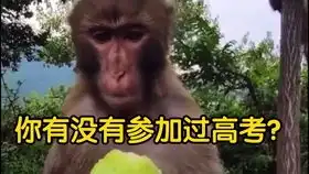 如果猴子会讲四川话会是什么样子神配音完整版
