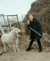 见到相亲对象满背都是拔罐的痕迹,我扭头就跑了哈哈哈偏见啊
