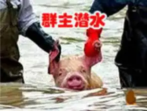 一对新人正在潜水结婚,前来参加婚礼的一...
