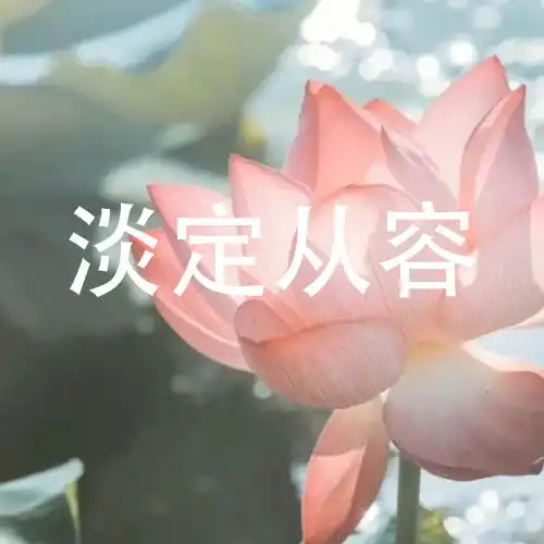 微信头像荷花并配字荷花头像带字佛系静心
