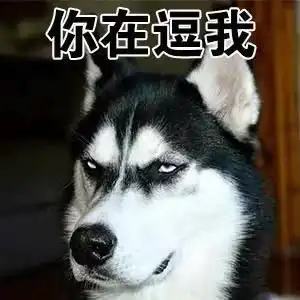 种草2021年了,这些日本药妆小众品牌你还不知道吗

