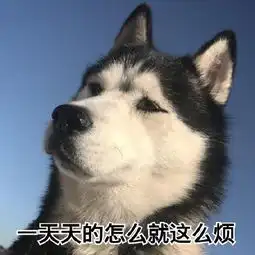 搞笑二哈表情包一天天的怎么就这么烦腾讯网qq.com
