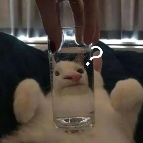 不辛苦,我有工资的
