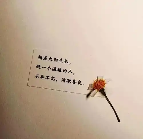 带字背景图片
