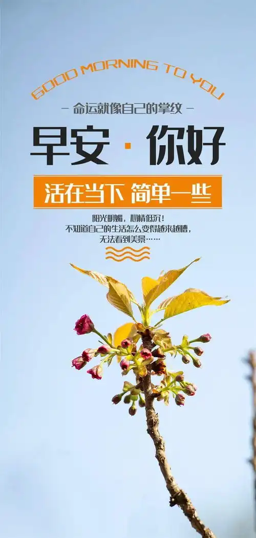 2月24日早安心语正能量语录说说清晨早上好图片大全正能量
