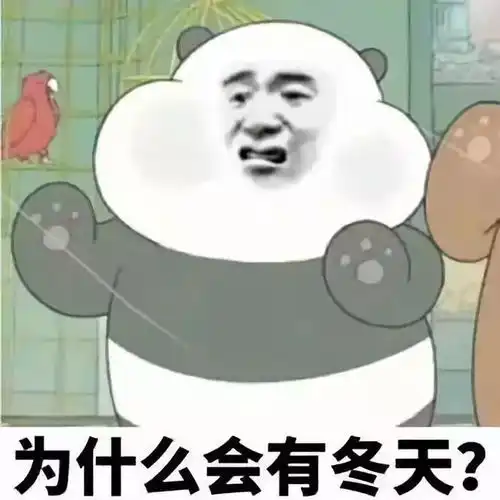 你知道信院的冬天怎么过吗
